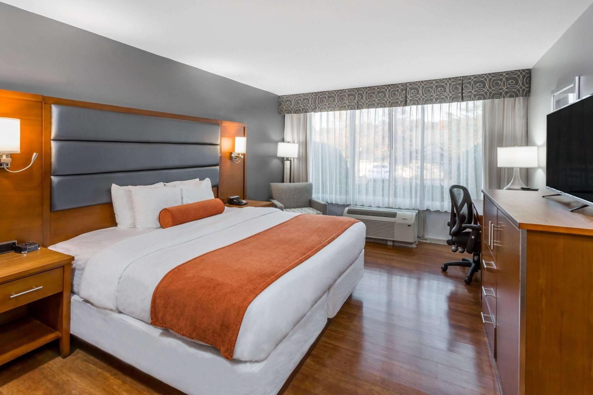 1 King Bed Non-Smoking