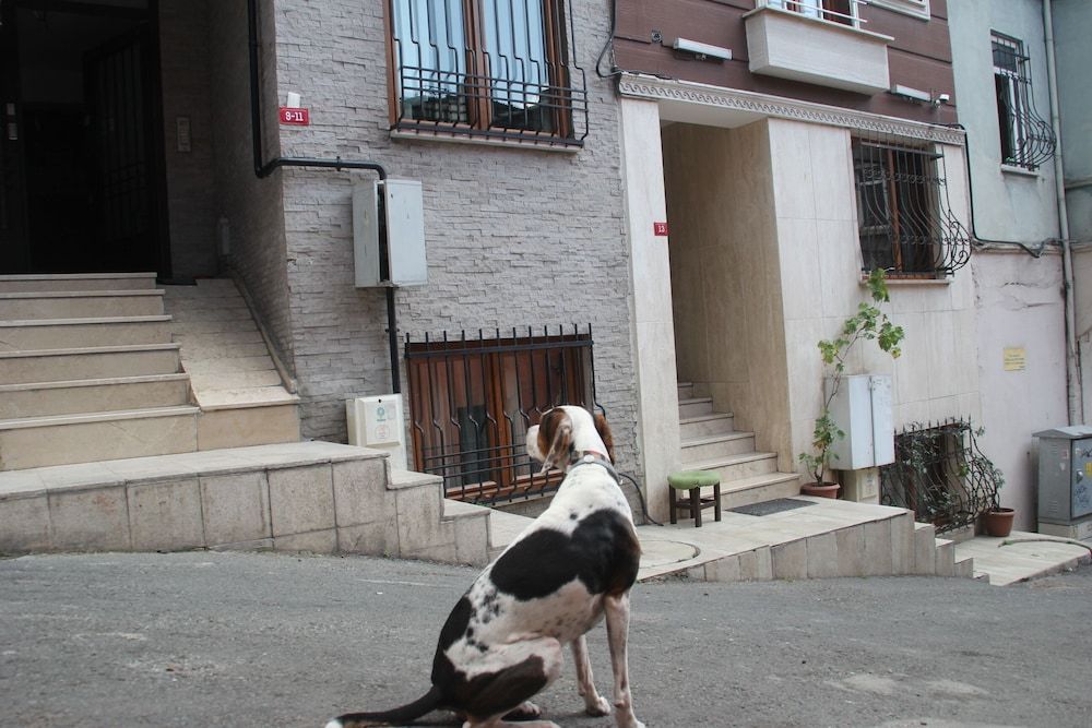 undefined Istanbul HUB Flats 7