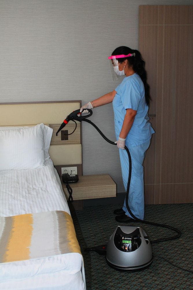 Cleanliness standards