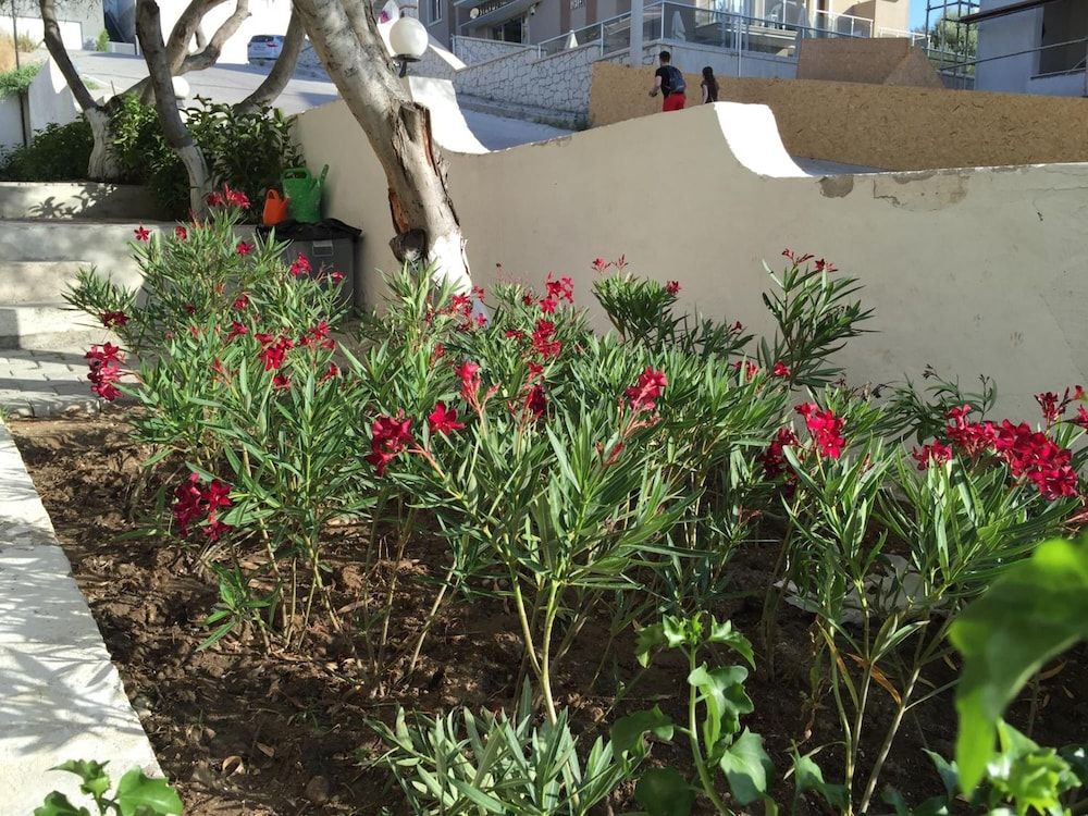 undefined Cicek Apart Hotel 6