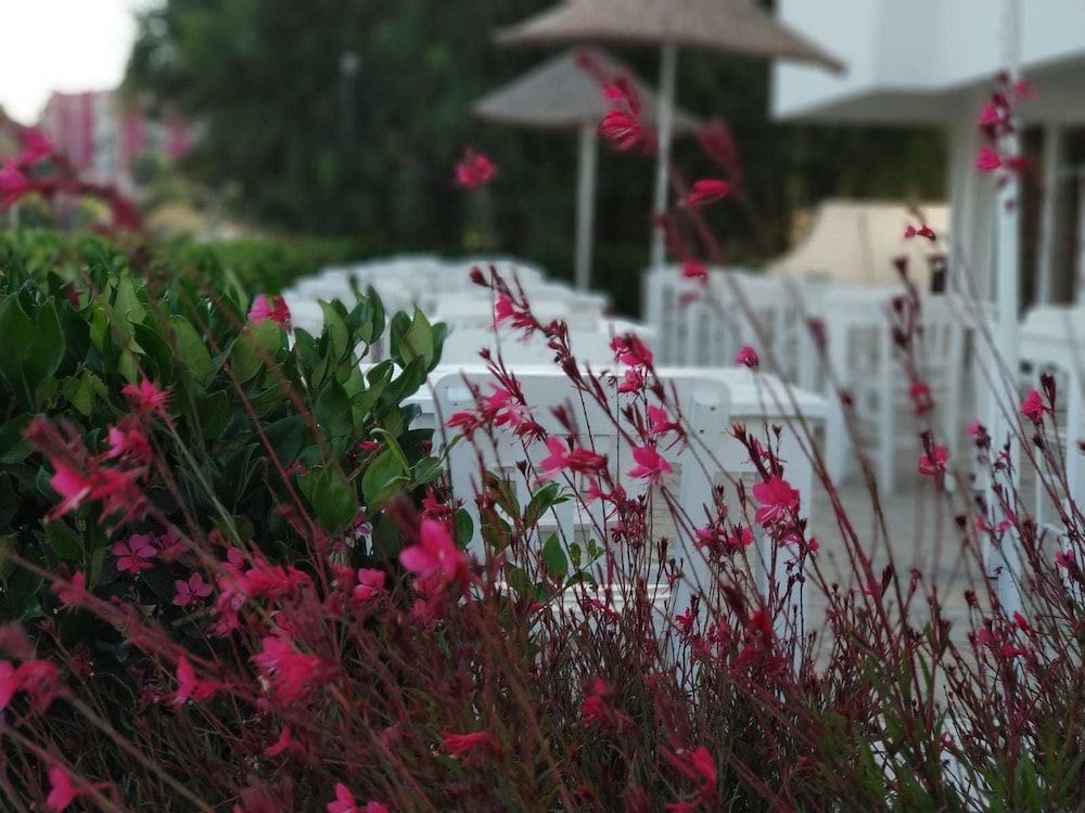 undefined Cicek Apart Hotel 5