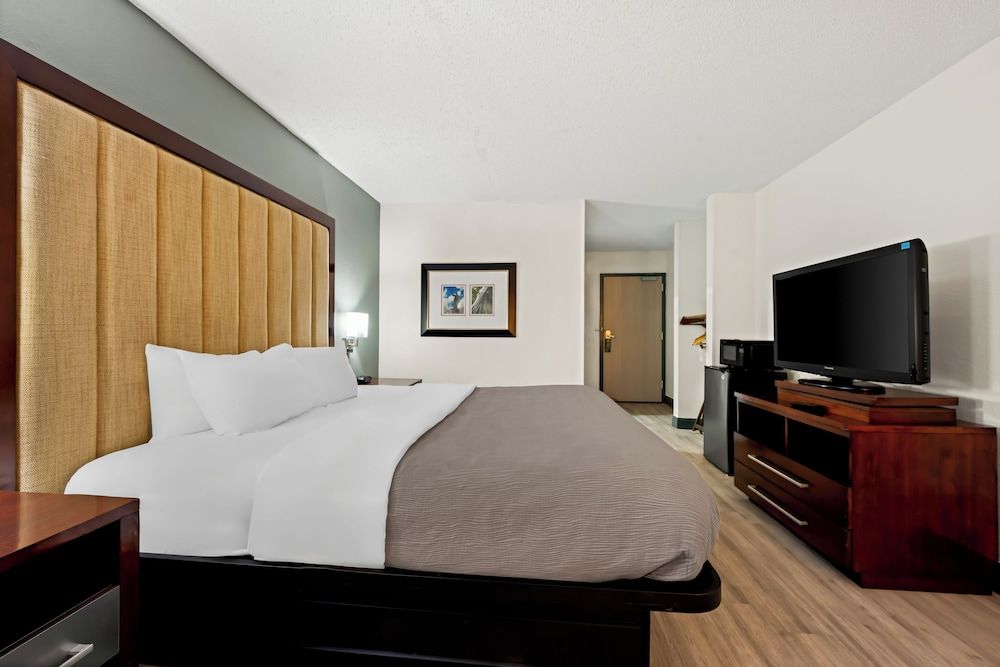Room, 1 King Bed, Non Smoking