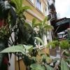 hotel_images