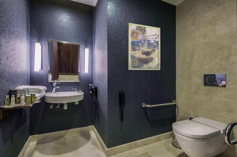 undefined DoubleTree by Hilton Istanbul Topkapi 8