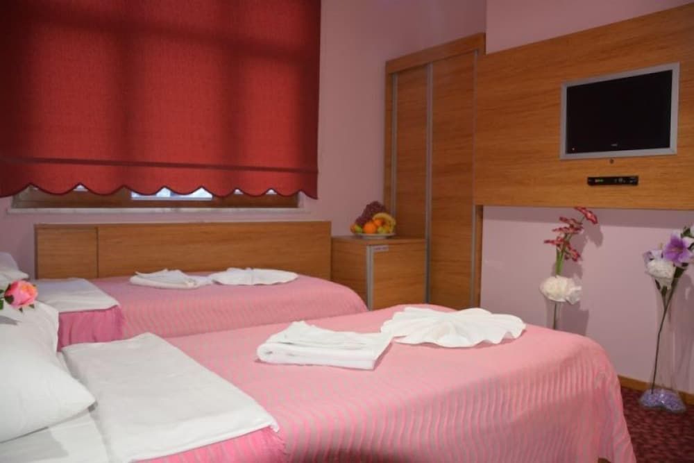 Hopa Heyamo Hotel Standard Double or Twin Room 2
