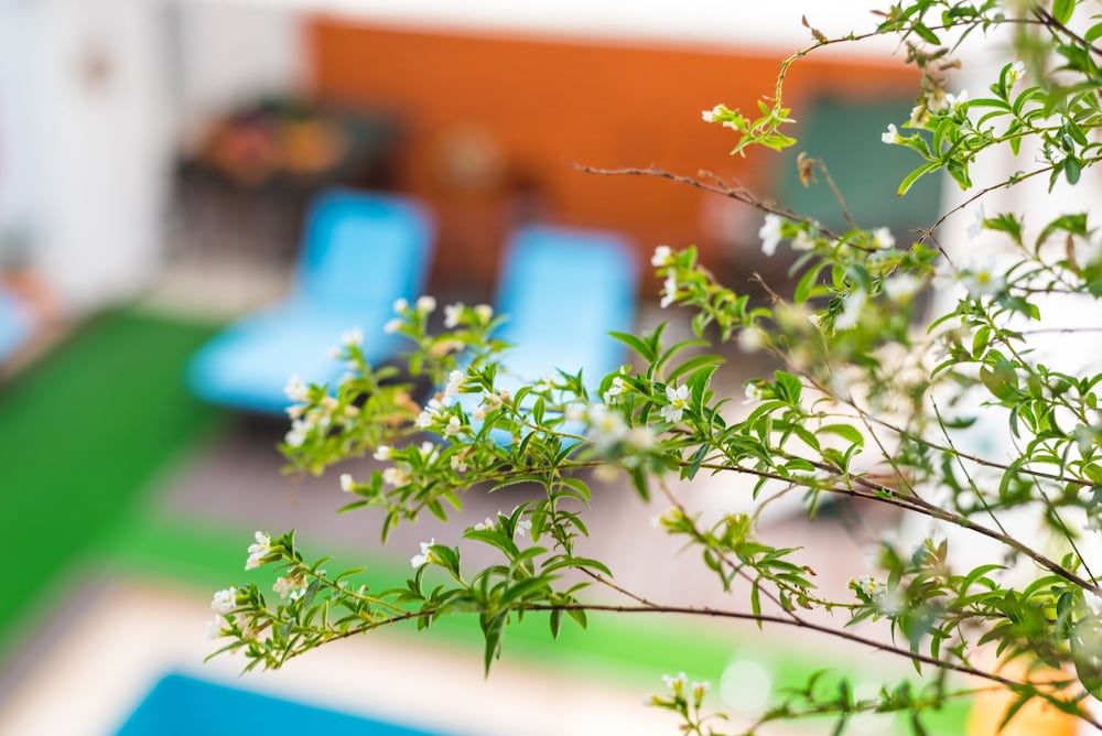 undefined 7 Art Feslegen Hotel 8