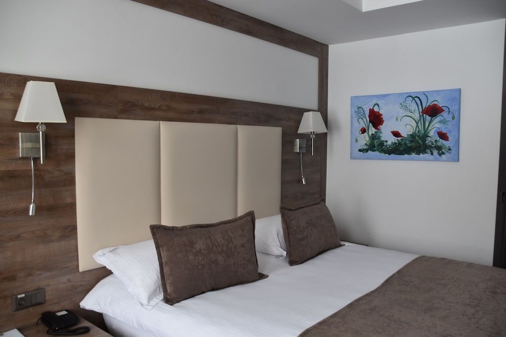 Sarikamis Habitat Hotel Standard Double Room 4