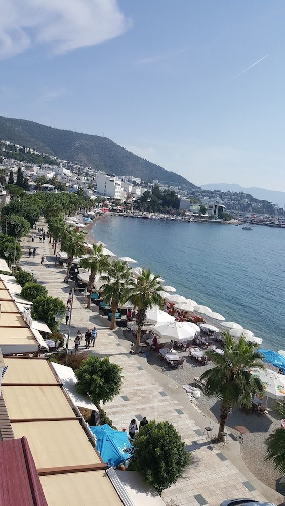 undefined Artemis Hotel 5
