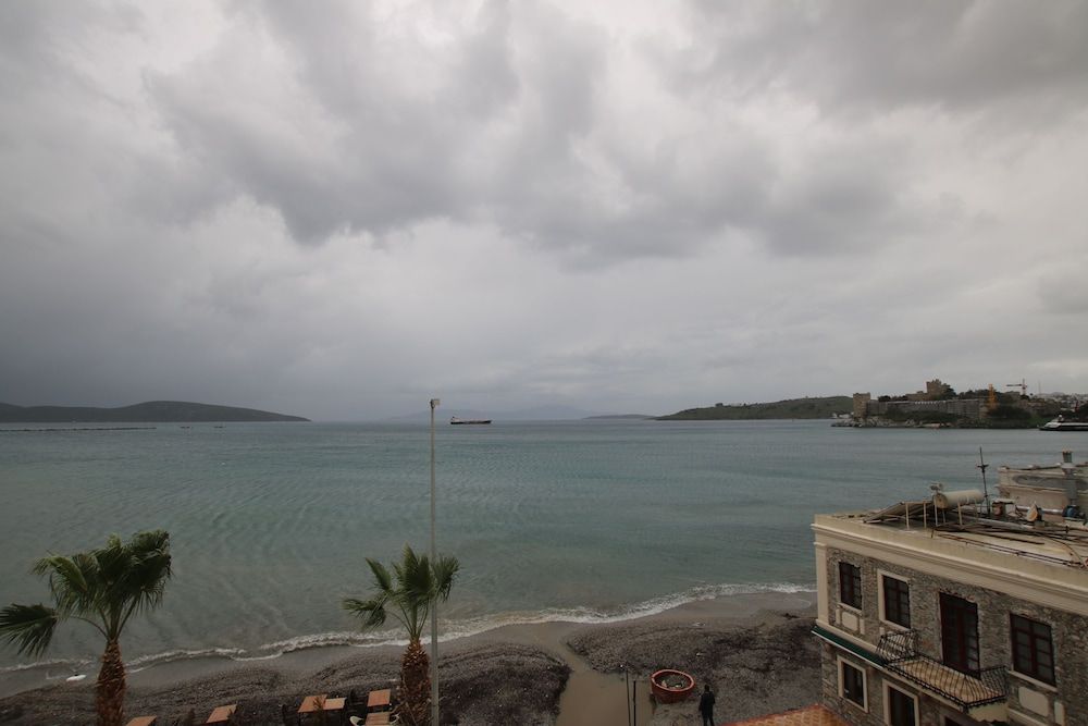 Beach/Ocean View