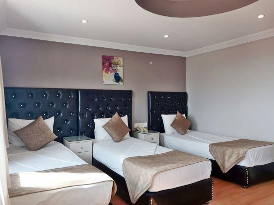 undefined Hotel Sureyya 8