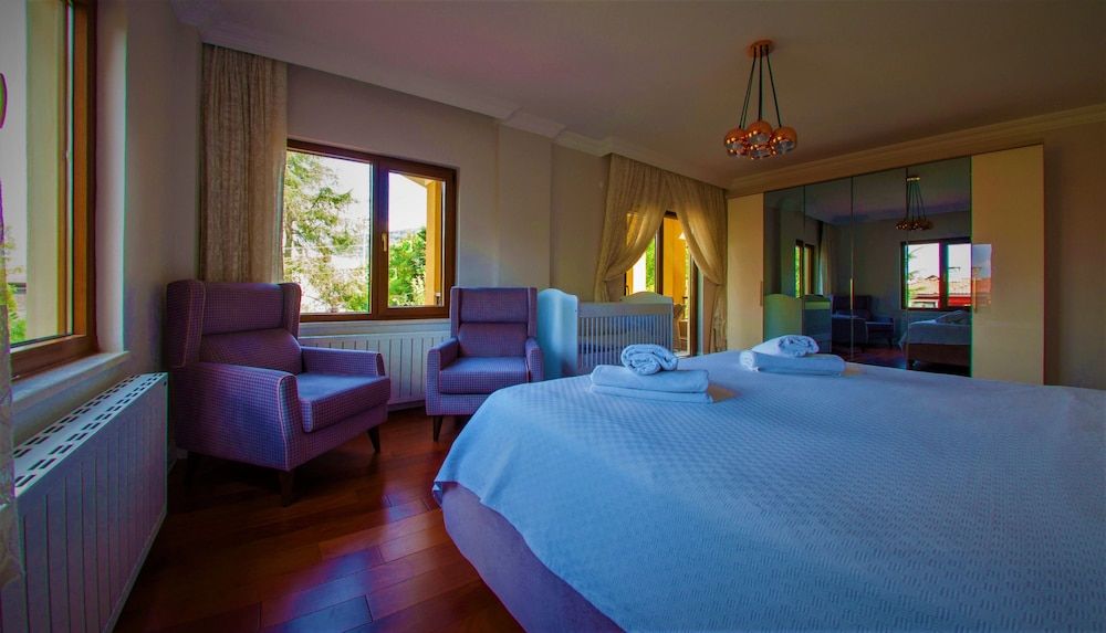 Villa Kirkpinar Sapanca Deluxe Villa 8