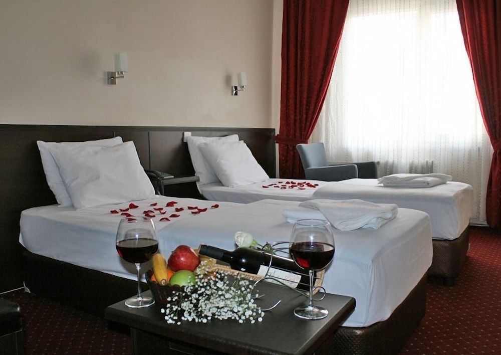 Hotel Diana Standard Twin Room 4