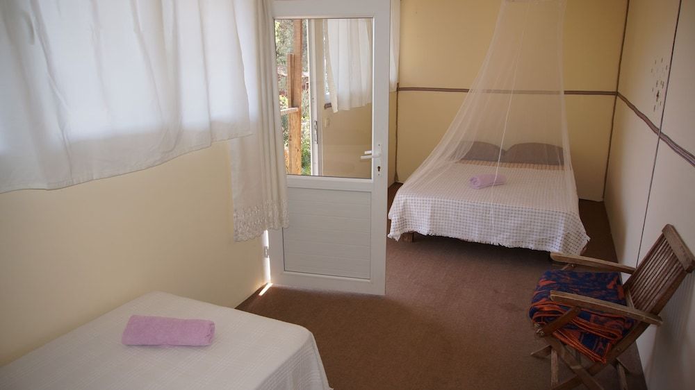 undefined Shiva Camp 2