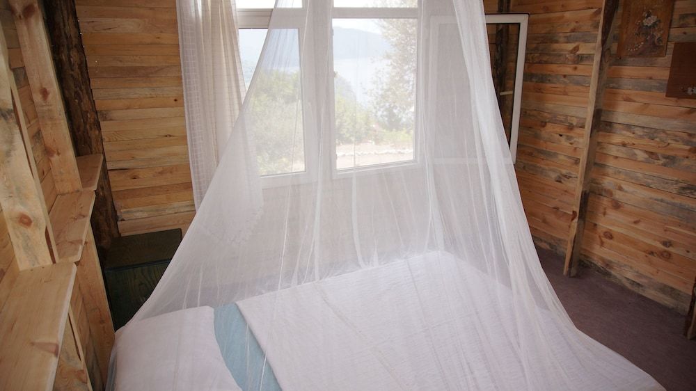 undefined Shiva Camp 3