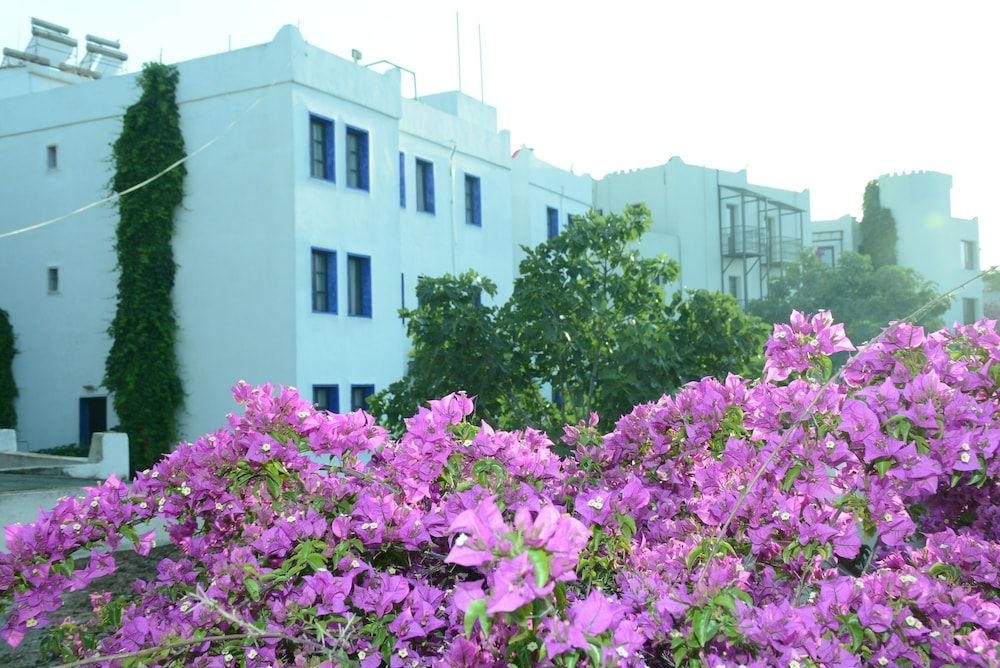 undefined Bodrum Park Hotel 5