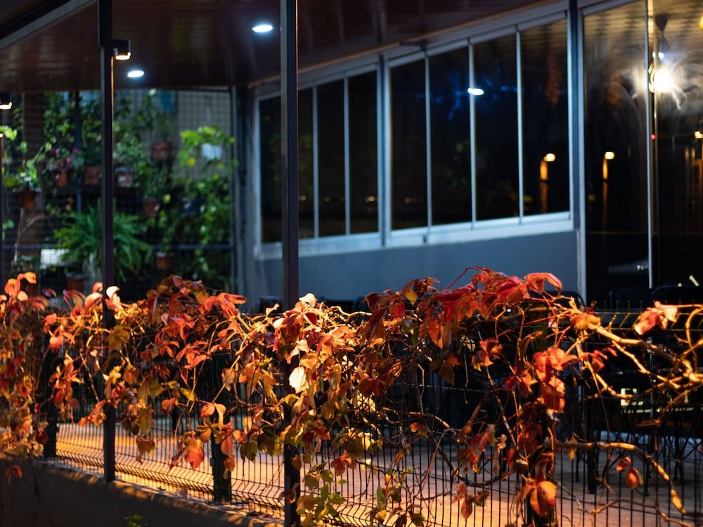 undefined Exporoyal Hotel 9