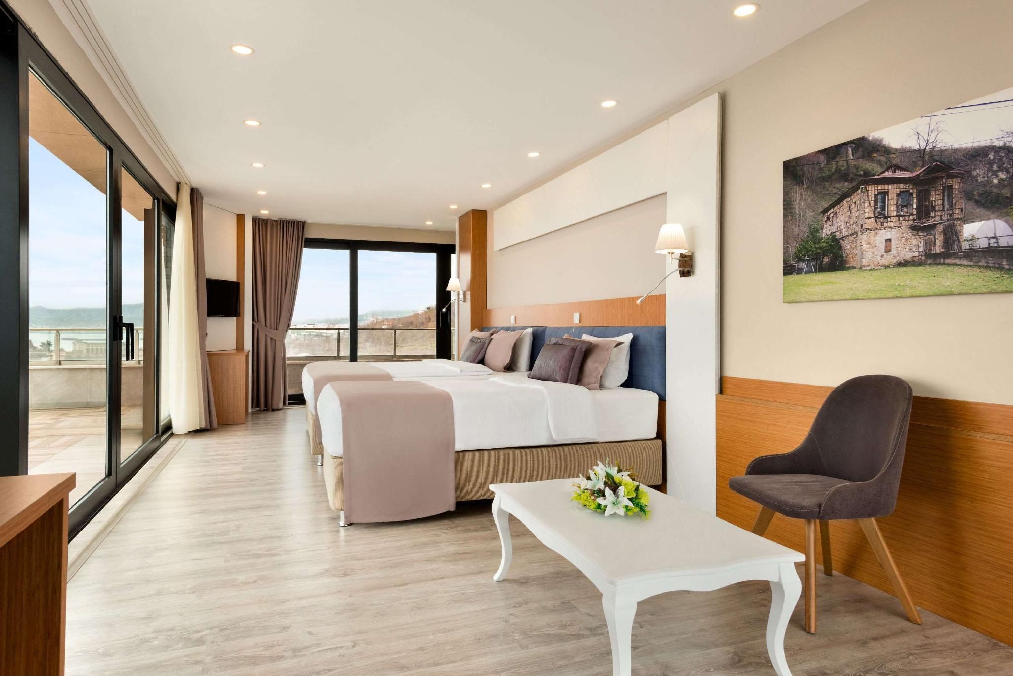 1 King Bed Accessible Room