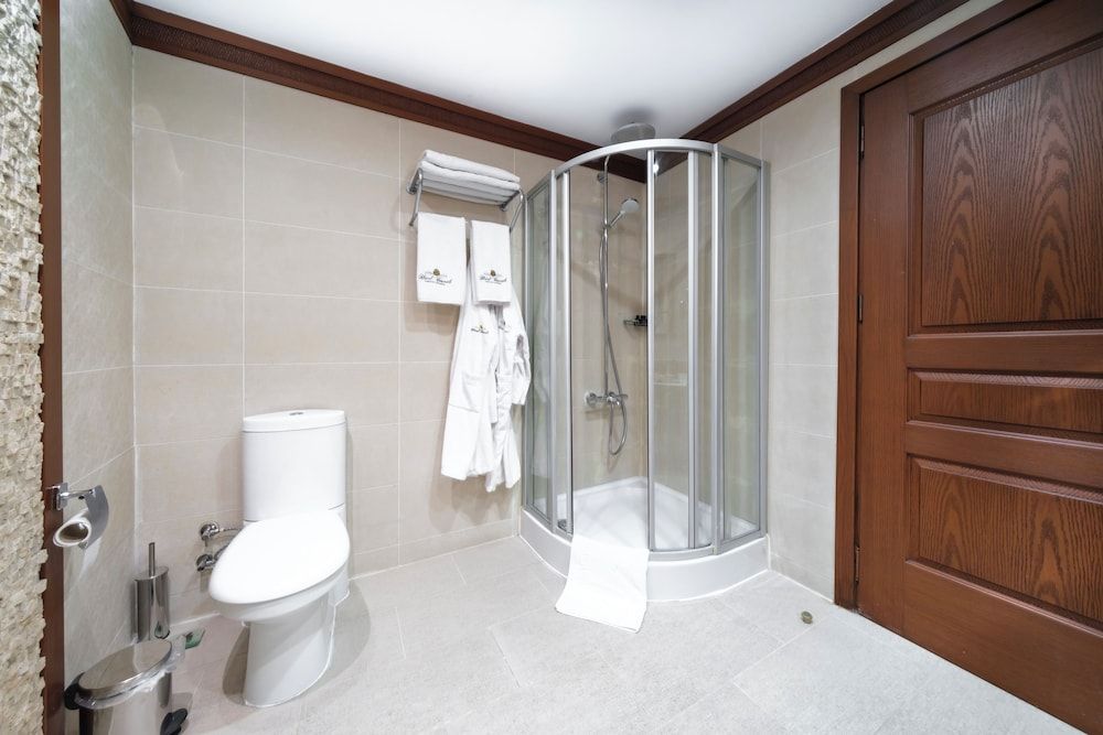 Hotel Bosnali - Special Class Deluxe Double Room 9