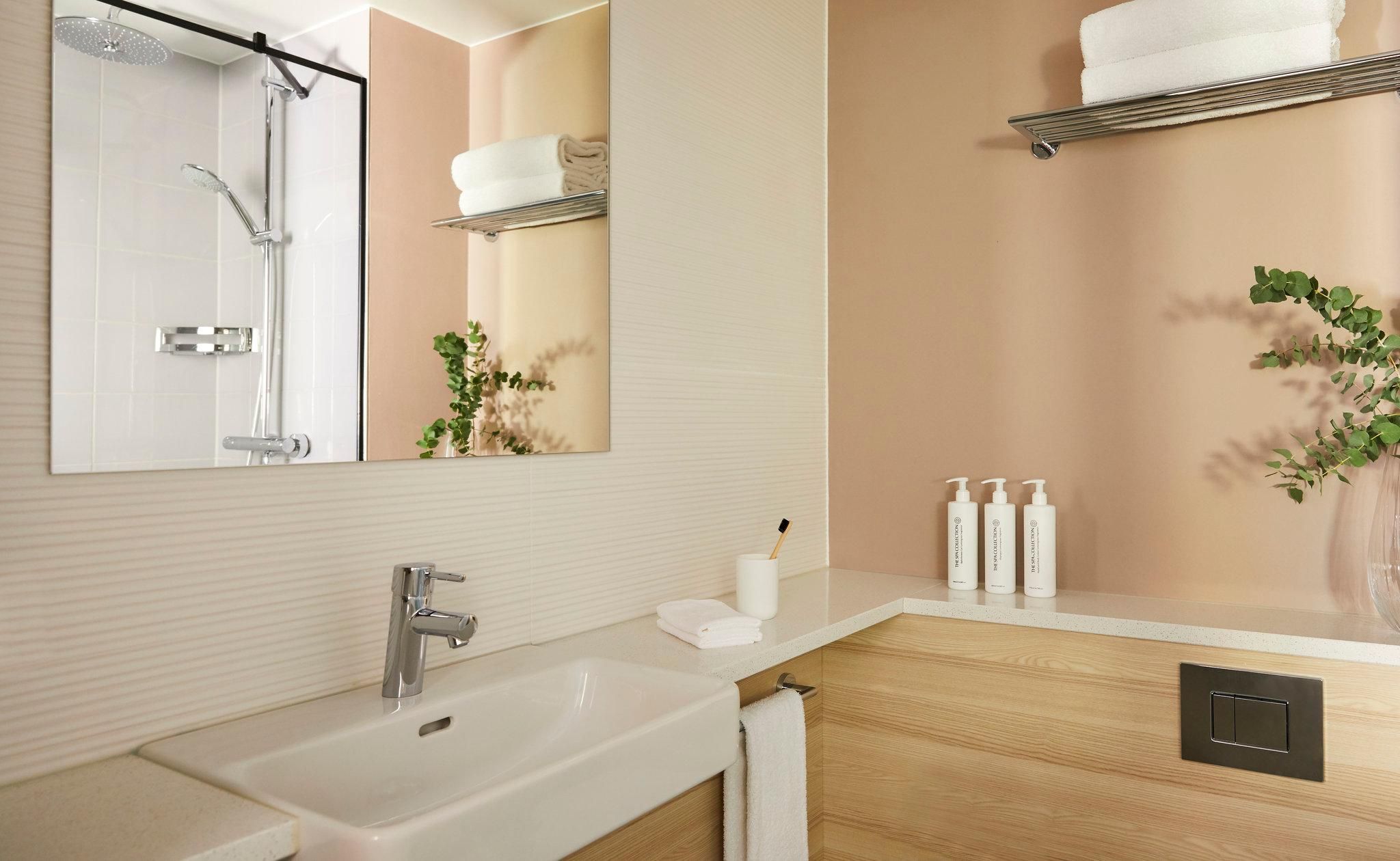 1 King bed Standard Alster View