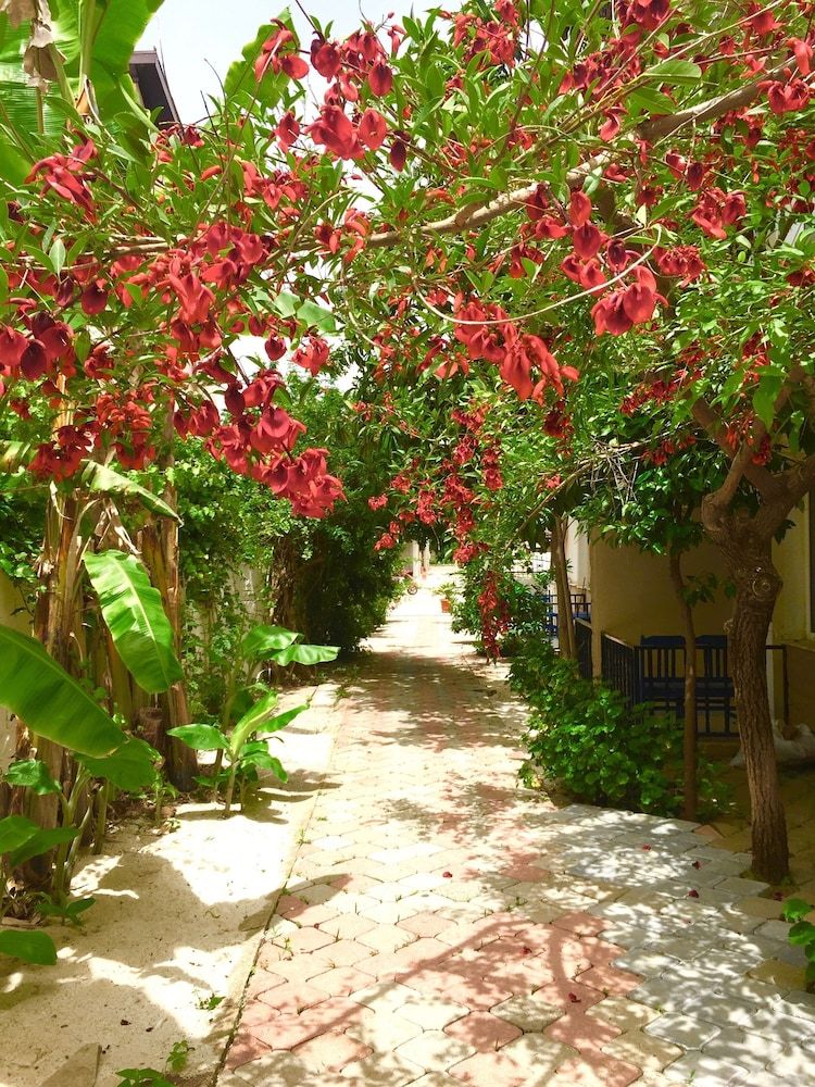 undefined Dove Apart Hotel 7