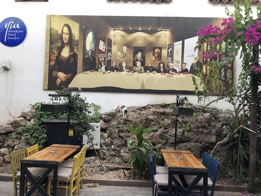 undefined Mia Hotel 5