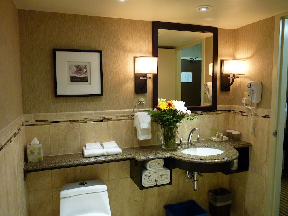 Suite, 1 Bedroom