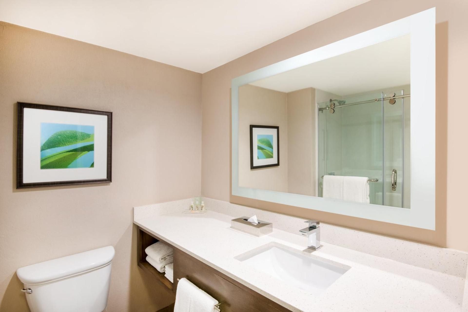 1 King 1 Bedroom Suite Resort View