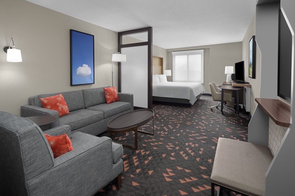Suite, 1 King Bed with Sofa bed