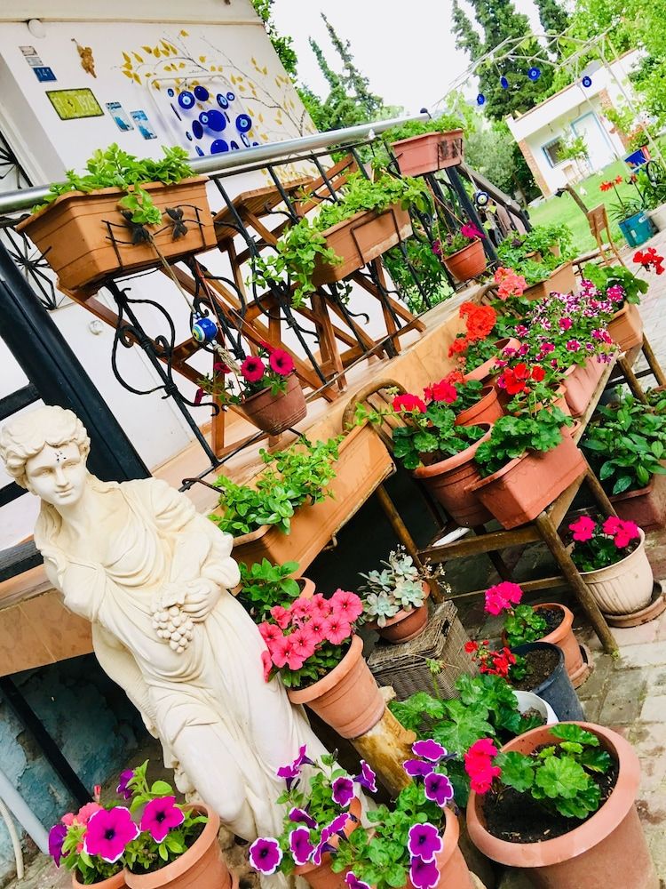 undefined Mursel Pansiyon Garden Hotel 9