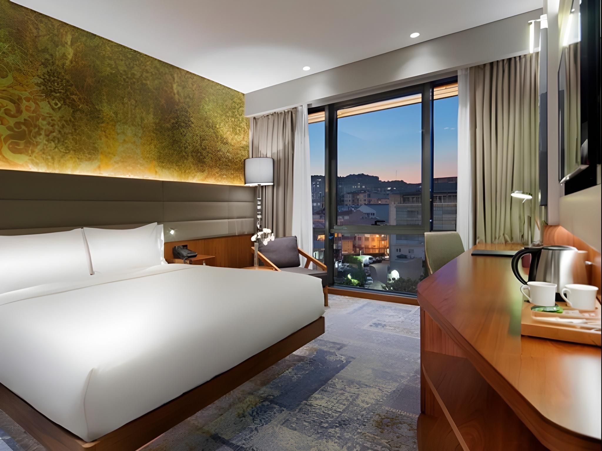 Queen Accessible Guest Room