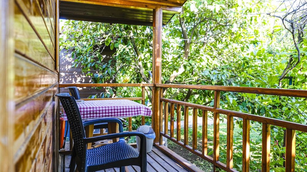 Lemon Garden Lodge Bungalow 5