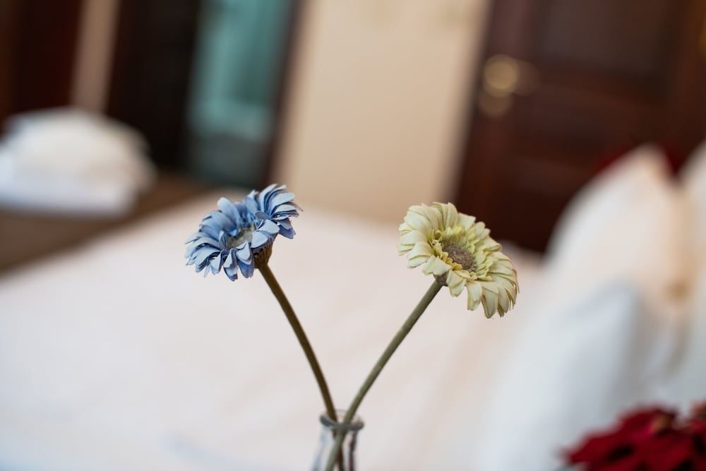 Sultanahmet Cesme Hotel Economy Double Room 28