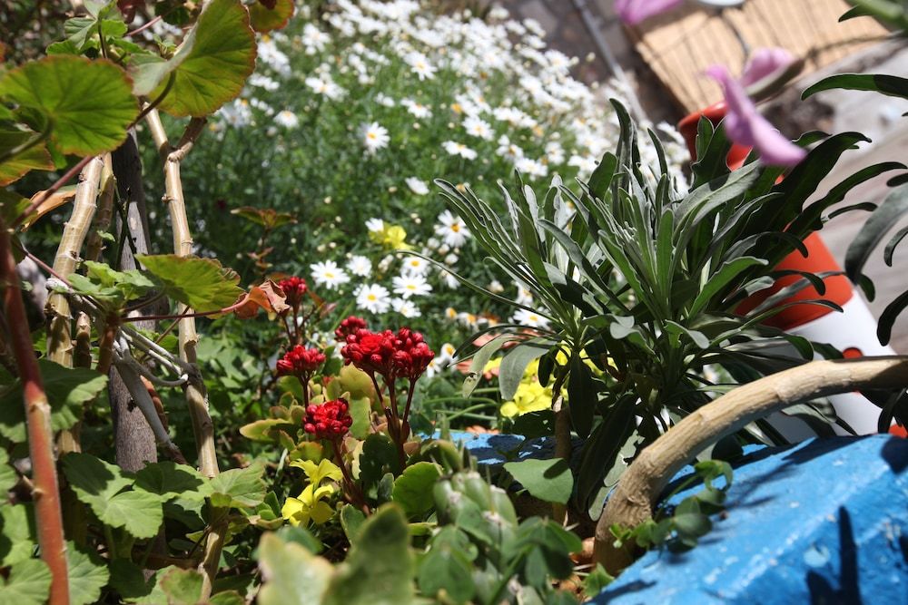 undefined Larimar Boutique Hotel 9