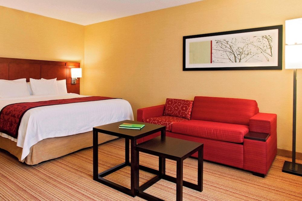 Room, 1 King Bed with Sofa bed, Non Smoking