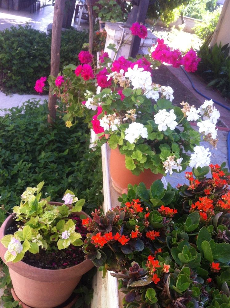 undefined Besik Hotel 7