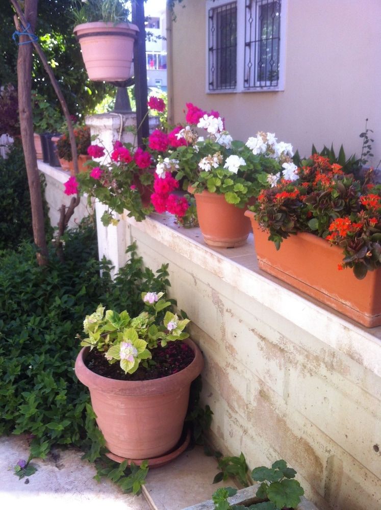 undefined Besik Hotel 5