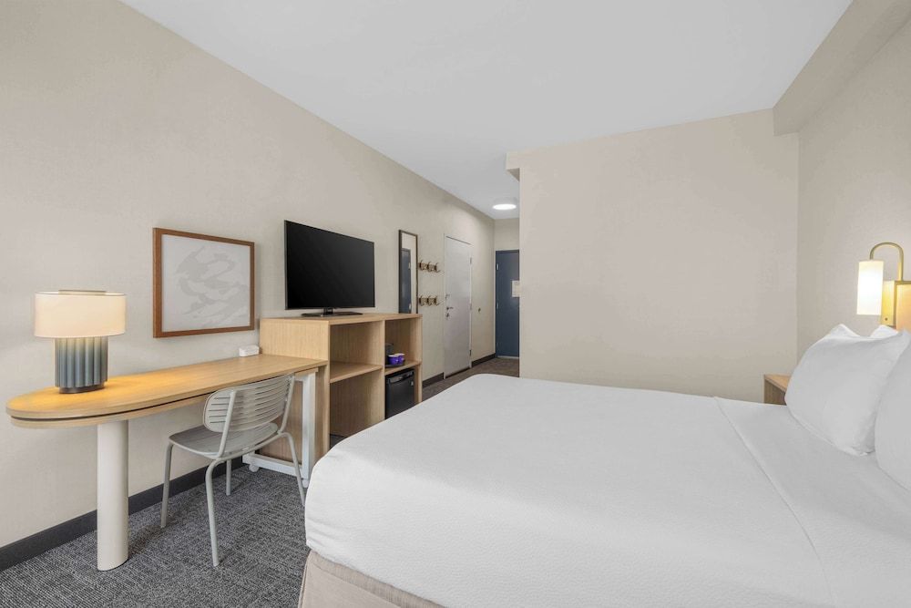 Room, 1 Double Bed, Accessible (Mobility & Hearing, Roll-in Shower)