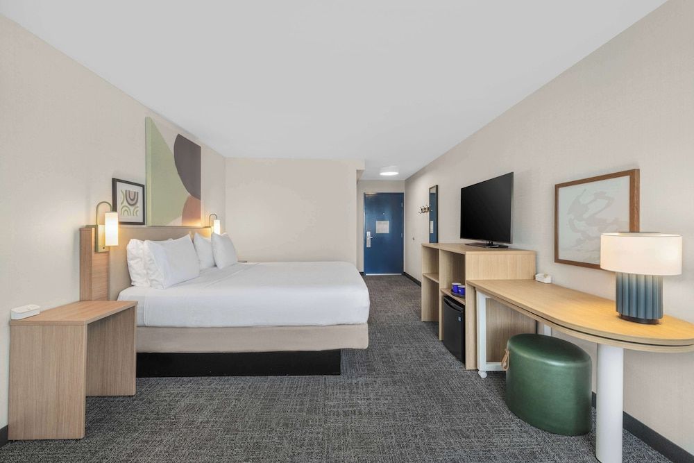Room, 1 King Bed