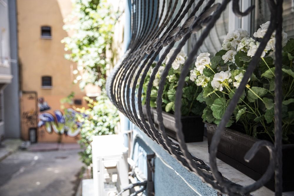 undefined Ditto Flats 3