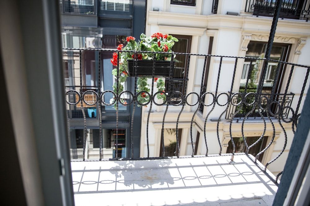 undefined Ditto Flats 4