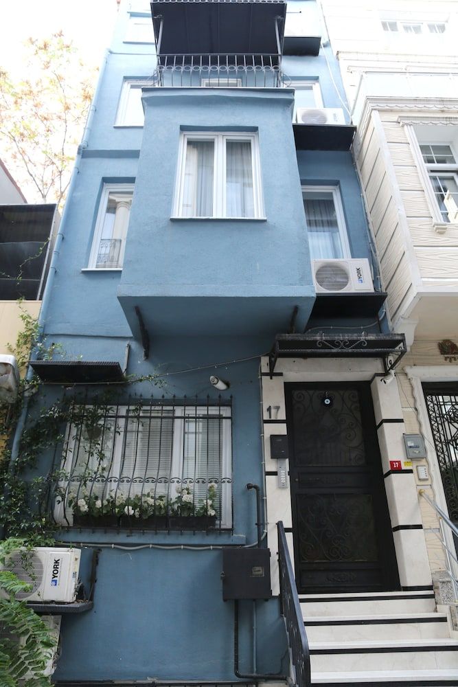 undefined Ditto Flats