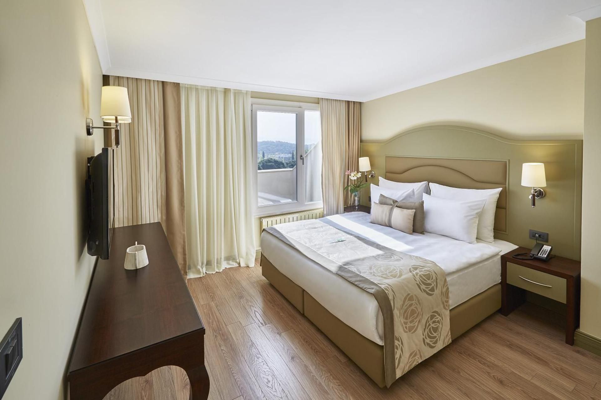 Deluxe Room-Disability Access 