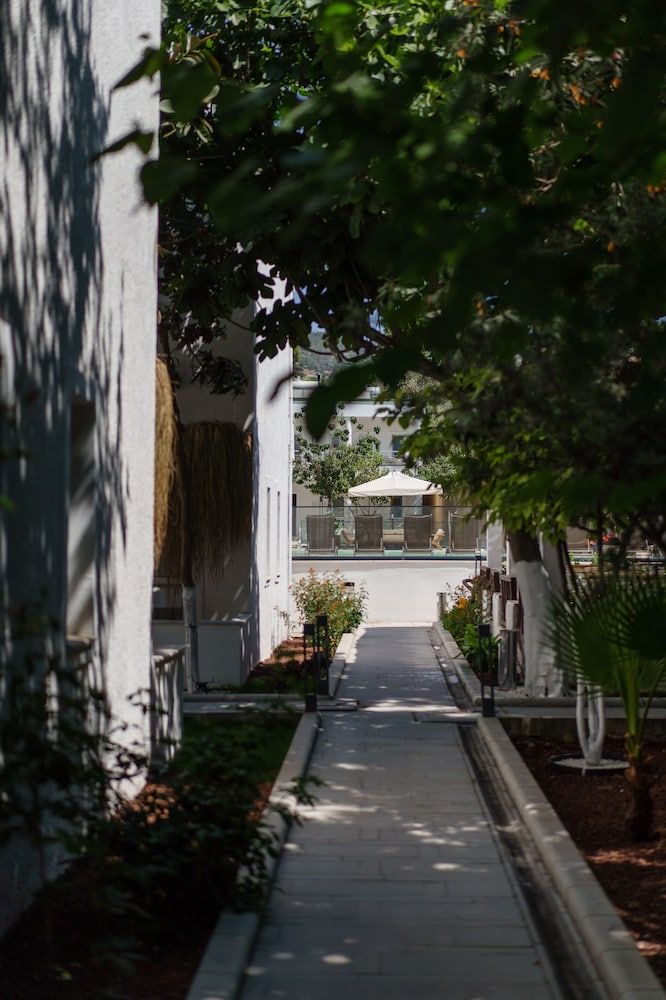 undefined Costa Maya Hotel 10