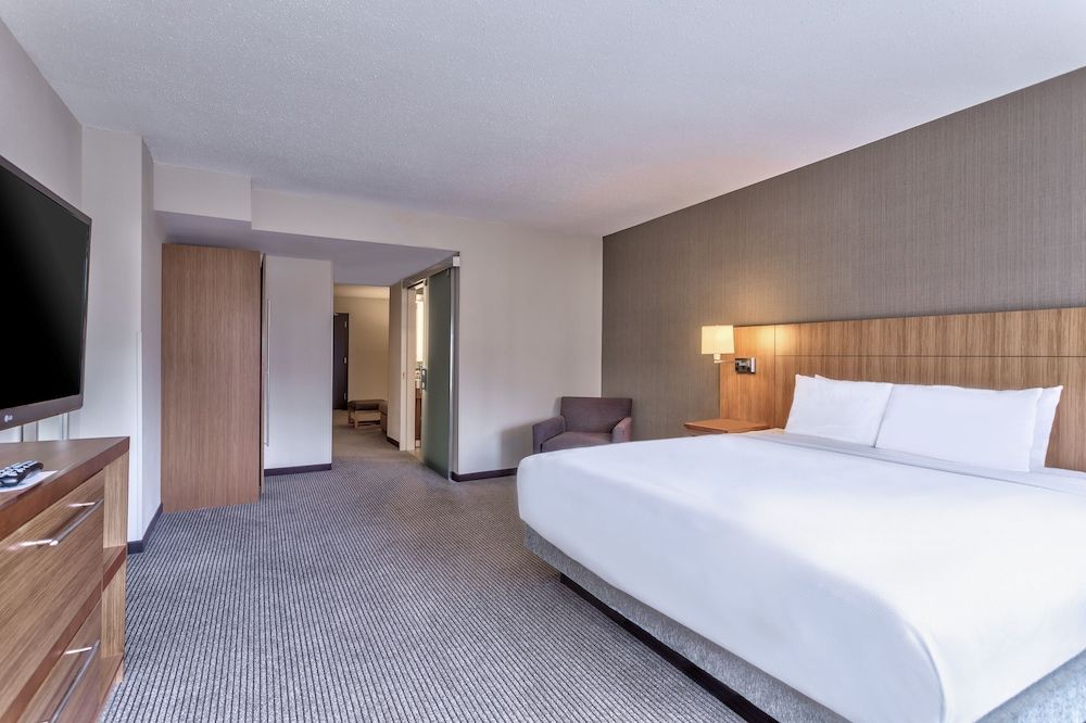 Room, 1 King Bed with Sofa bed (With Sofa Bed, High Floor)