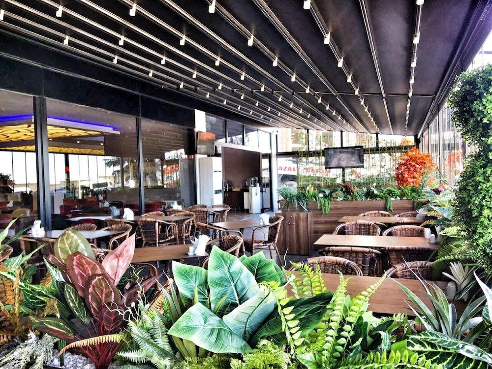 undefined Royal Life Exclusive 10