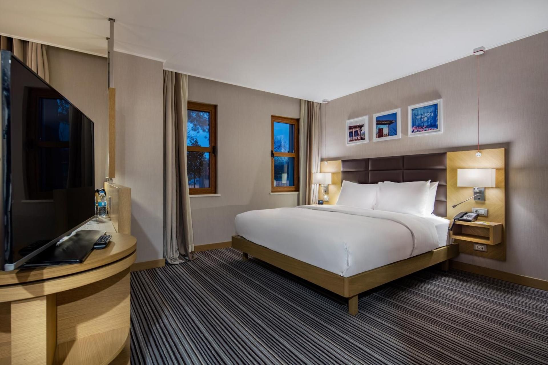 Hilton Garden Inn Safranbolu King Accessible Room 