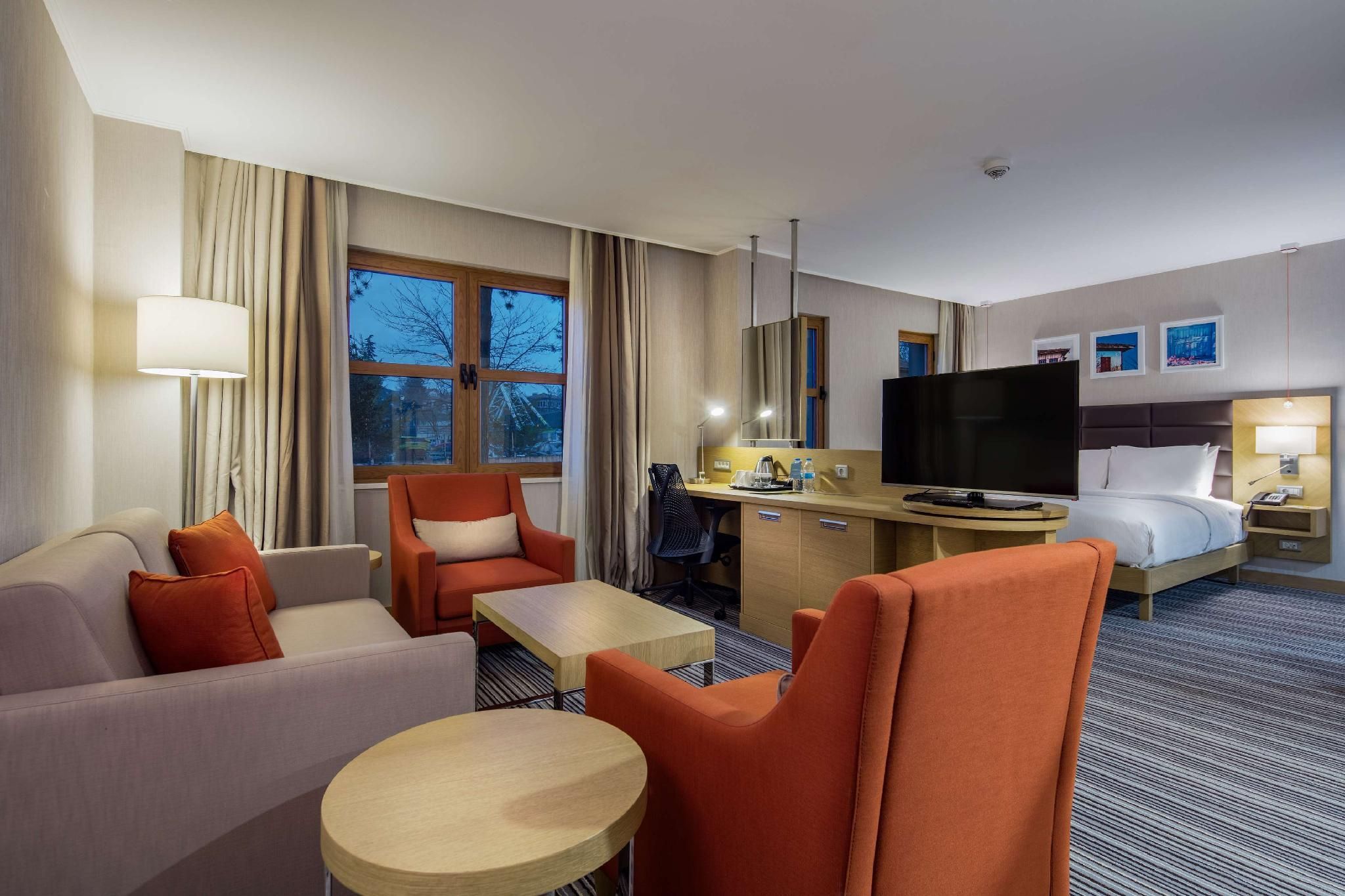 Hilton Garden Inn Safranbolu King Accessible Room  3