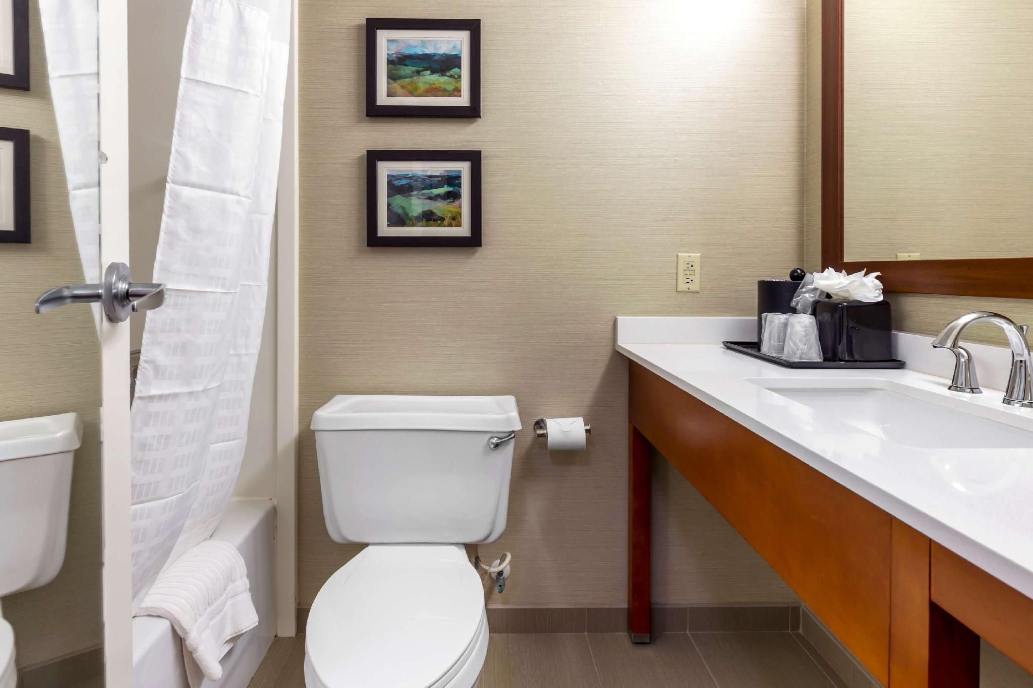 Comfort Inn University Durham - Chapel Hill 1 King Bed, Nonsmoking 3