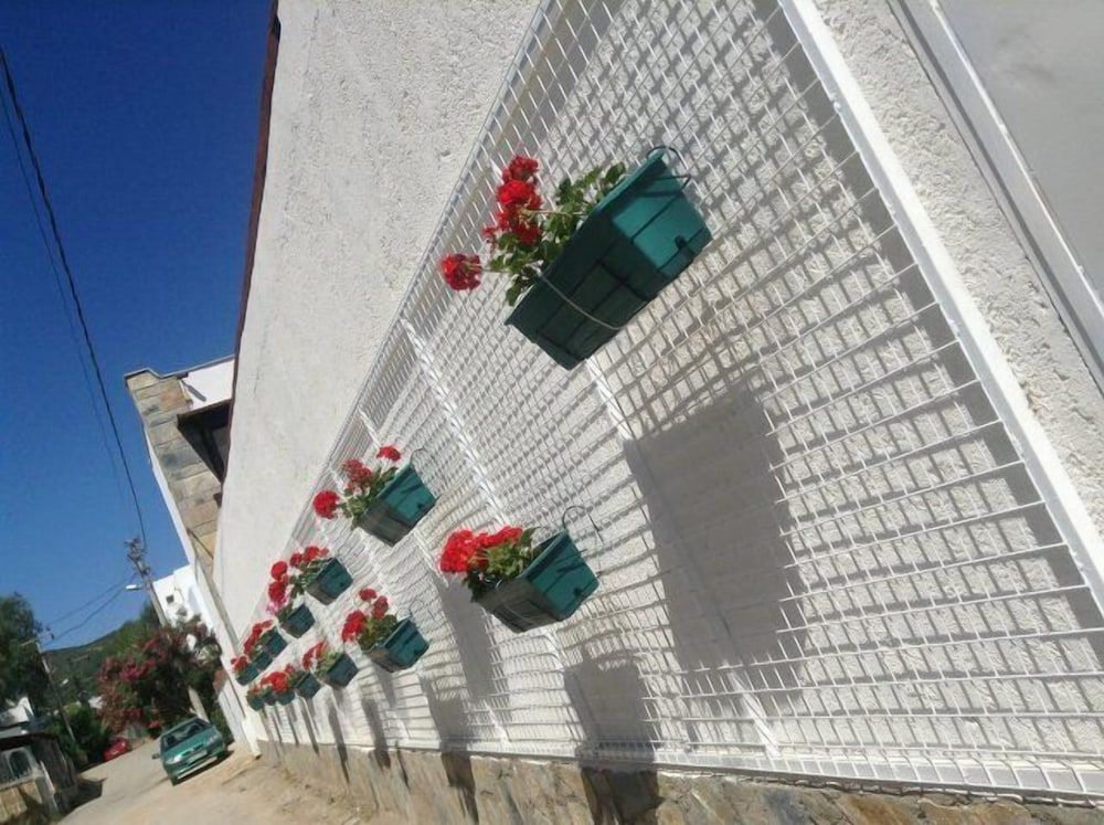 undefined Cotton Boutique Hotel