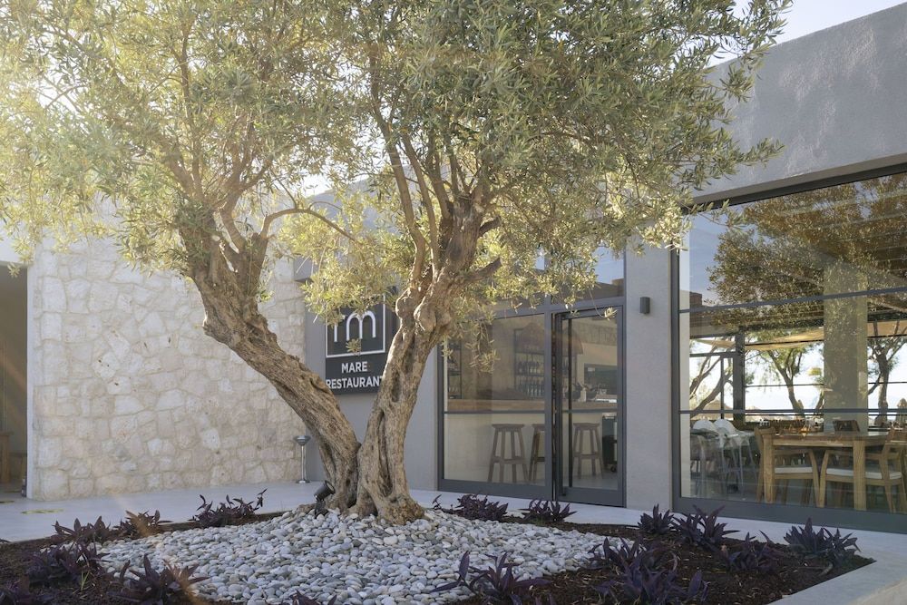 undefined Regia Mare Beach Hotel & Spa Bodrum 4